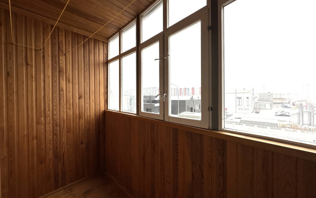 Aktiniya, Ryadom s TTS Mikhaylovskiy Apartments