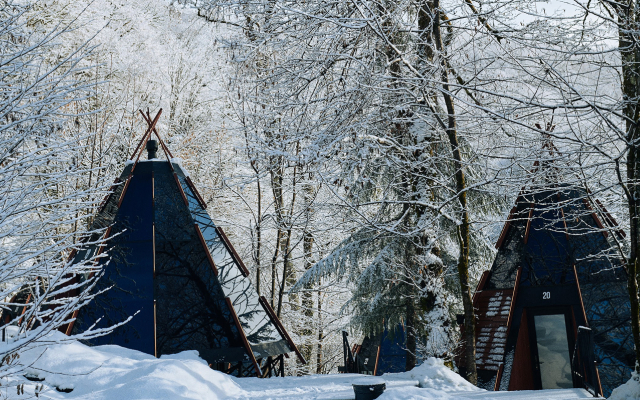 Отель Загородный отель Pine River Красная Поляна