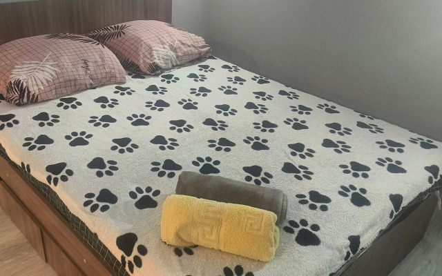 Uyutnaya Studiya Shishkova 91 Apartments