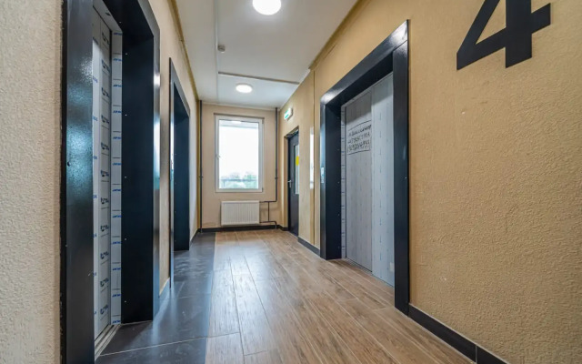 Studiya U M. Pionerskaya I Almazova Flat