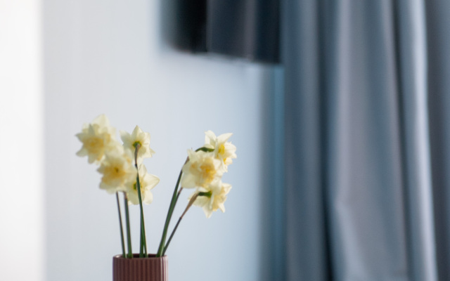 Апартаменты Pavlov B на Земельной