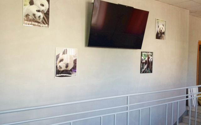 Хостел Панда Челябинск