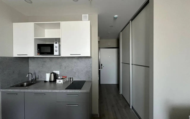 Spb Apartaments 7