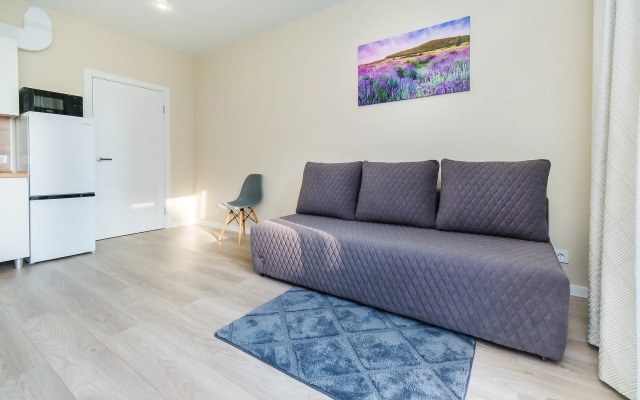 319 svetlye v ZhK Letniy dlya semi Apartments