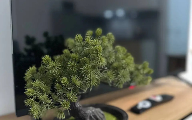 Квартира Уютная студия у Аэропорта Пулково