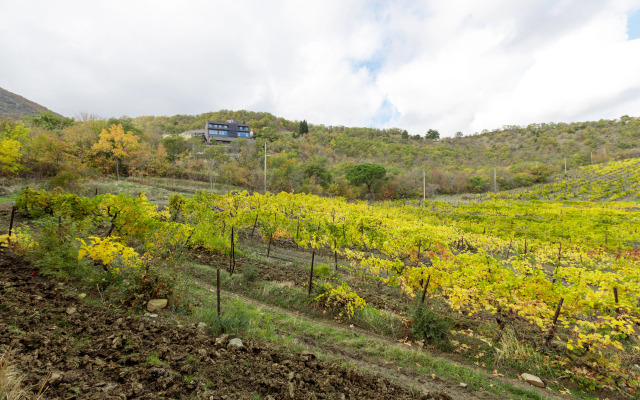 Апартаменты Графит