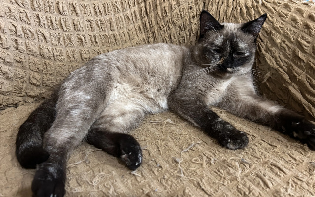 Гостиница Баргузин