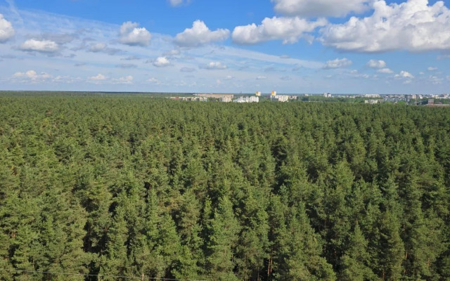 Квартира на Новочеркасской 51