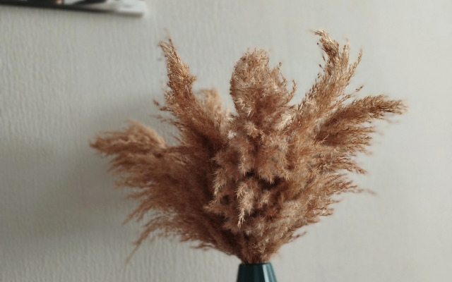 Квартира Современная