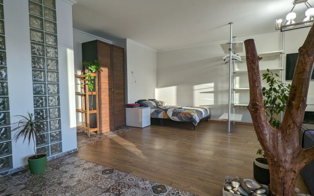 Апартаменты Студия с камином, деревом и видом на реку