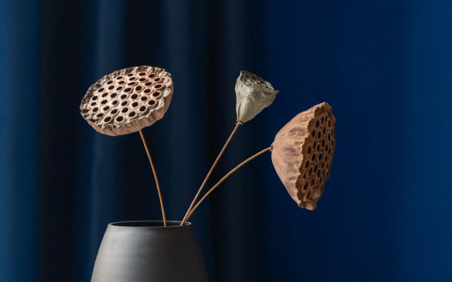 Квартира Студия Тольятти