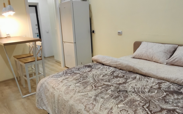 Квартира Студия Мира 7/25И