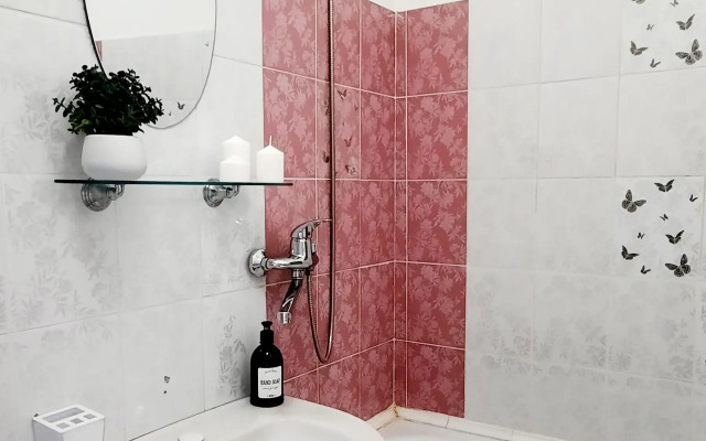Odnokomnatnaya V Tsentralnom Rayone Goroda Flat