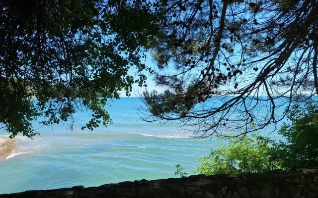 Меблированные комнаты Лесной у моря