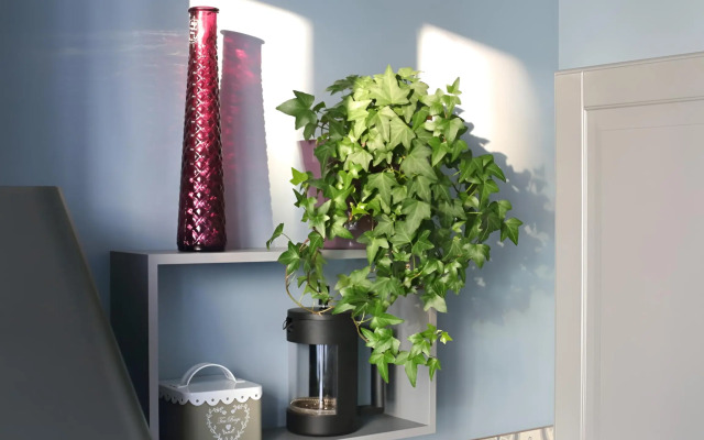 Квартира dombomb