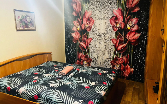 Ryzhiy Kot 3 Flat
