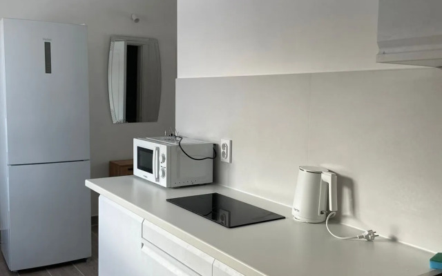 Na Proselochnoy Flat