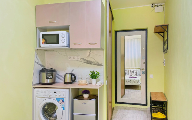 Апартаменты Студия м.Маяковская