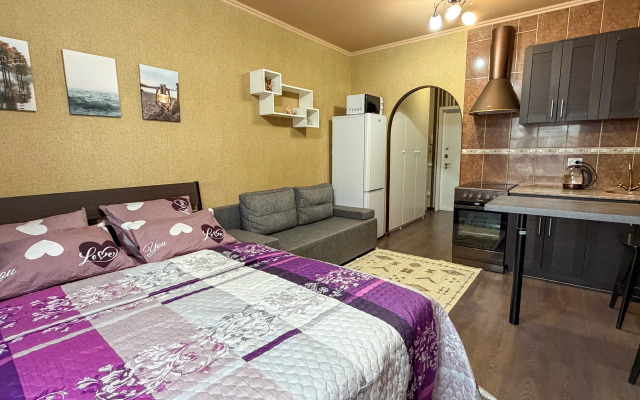 Квартира Любимая студия у метро Молодежная