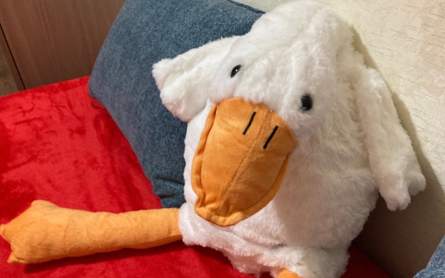 Квартира Семейная студия на Охтинской 16