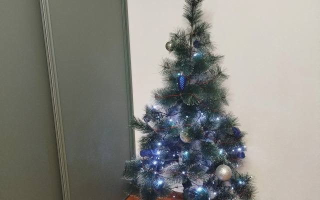 Апартаменты Флора в пешей доступности от Южного вокзала