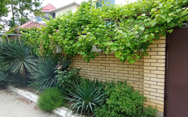 Lotos Guest house
