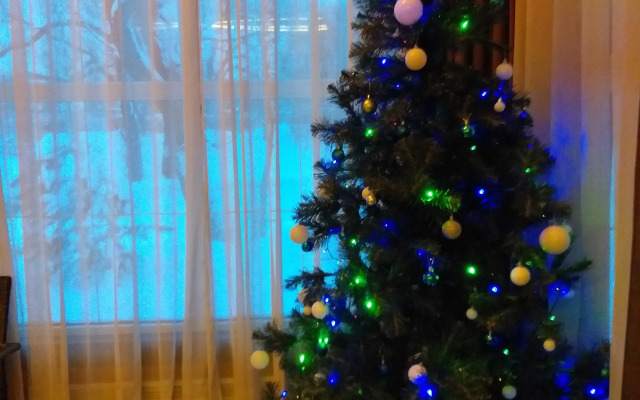 Гостевой дом Загородный дом с русской баней