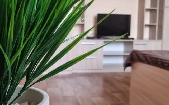 Квартира Уютная Однокомнатная Около Аэропорта Толмачево им Покрышкина