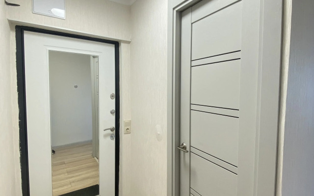 U Rechnogo porta nedaleko ot tsentra Kazani Flat