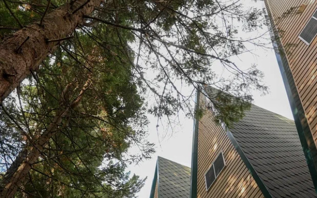 Отель Миснэ