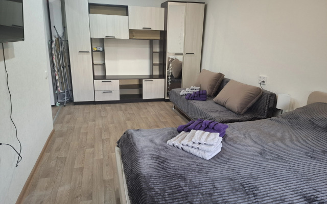 Uyutnaya Kvartira Na Puzakova Flat