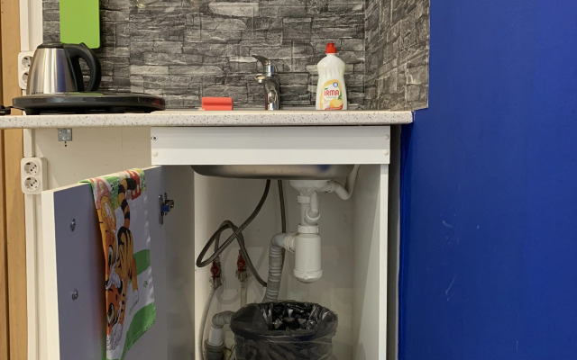 Schastlivaya Matreshka na Ligovskom 44 Flat