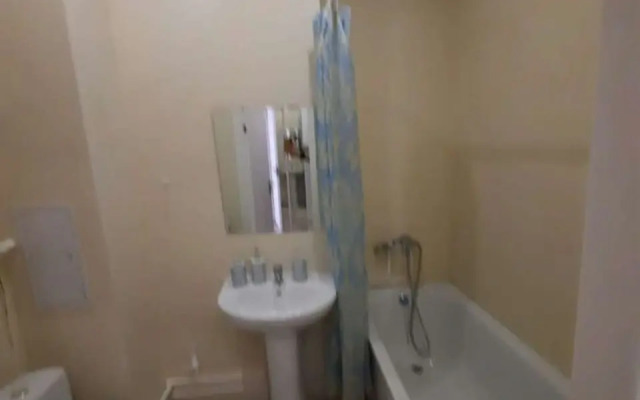 Studiya V Tsentre S Vidom Na Gorod Flat
