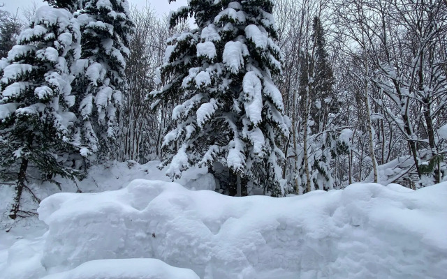 Гостевой дом «Cherry Gesh»