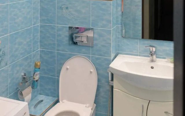 Na Ulitse Rogozhnikova 13 Apartments