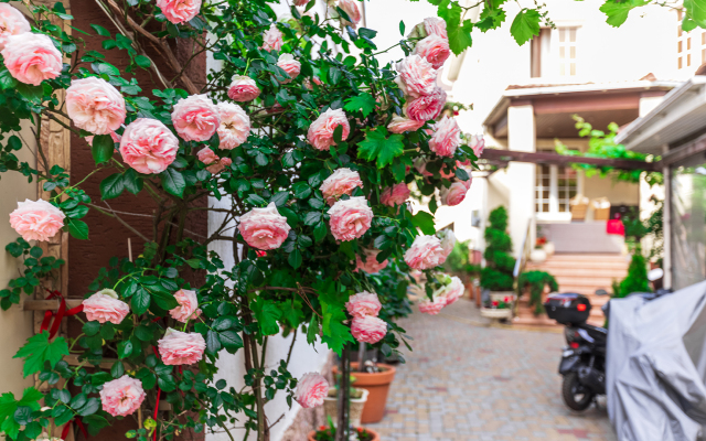 Гостевой дом Евгения