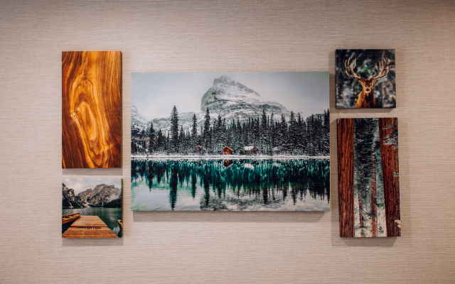 Tolstoy Krasnoarmeyskiy 8 Flat