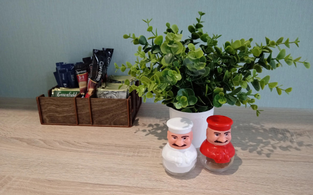 Biryuzovaya komnata v tsentre goroda furnished room