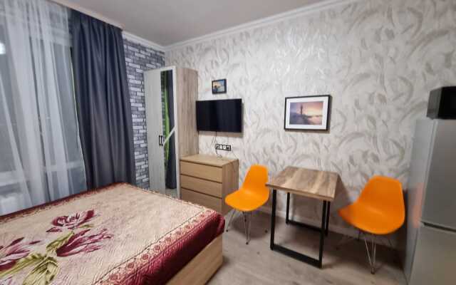 Апартаменты Студия у метро Московская