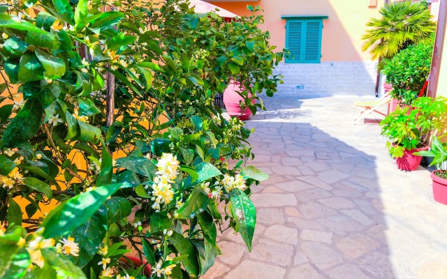 Cuore di NOZZANO Castello Apartments