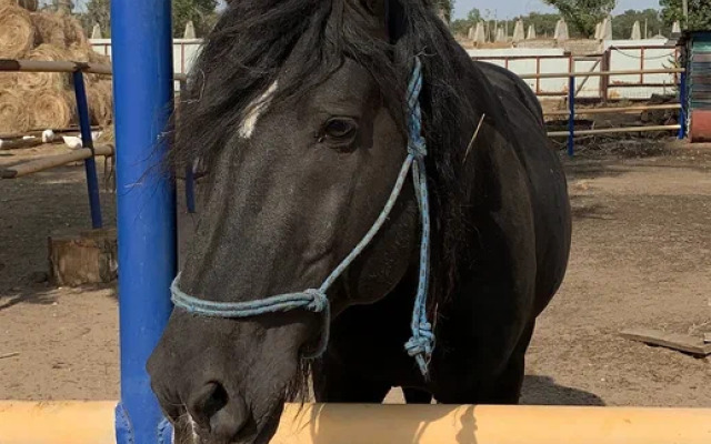 База отдыха Летучая рыба