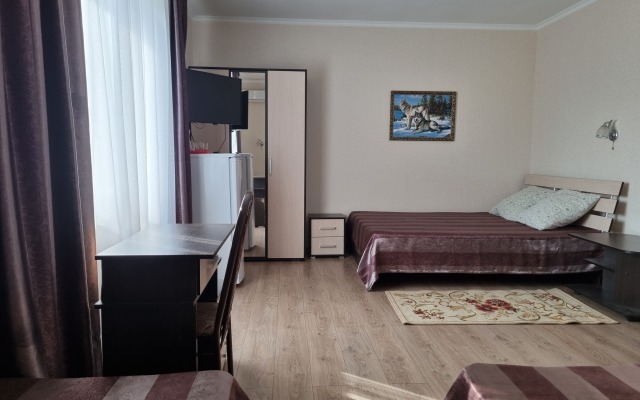 Lyudmila Na Turgeneva Guest House