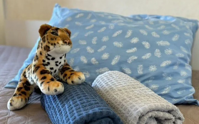 Квартира на Улице Луначарского 10/16