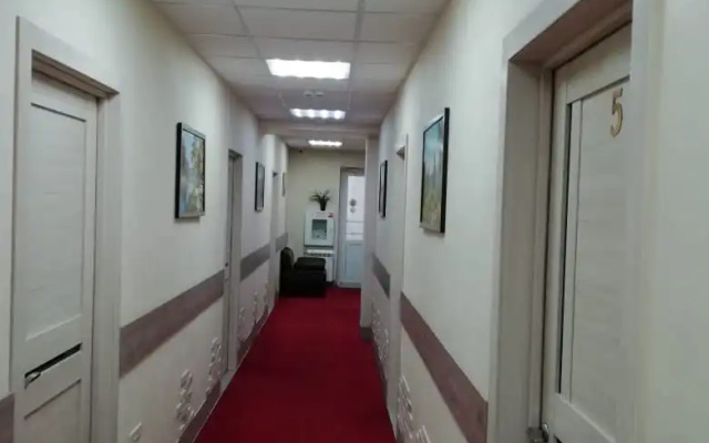 Pushkin Hotel