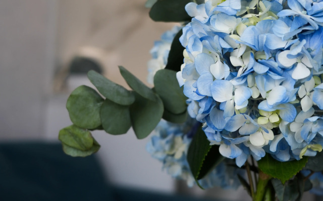 Апартаменты Гарден Портье Делюкс Aura 37 к. 3