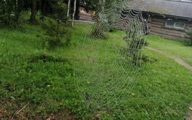 Гостевой дом Окулова Заимка