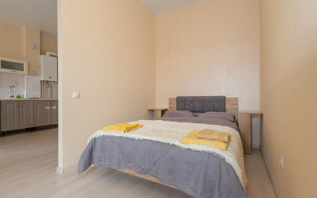 Апартаменты Современная студия Росгартен