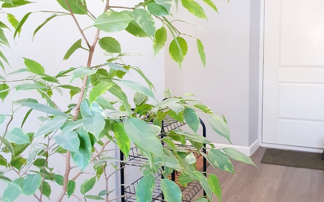 Апартаменты Welcomerooms 2