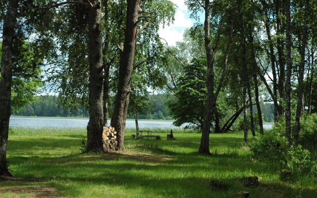 Lesnaya Baza Shishki Recreation Center