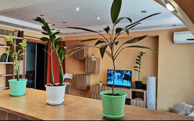 S Dzhakuzi V Tsentre Kalugi Flat